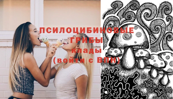 mix Верхний Тагил