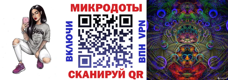 Псилоцибиновые грибы Psilocybe  купить   Дербент 